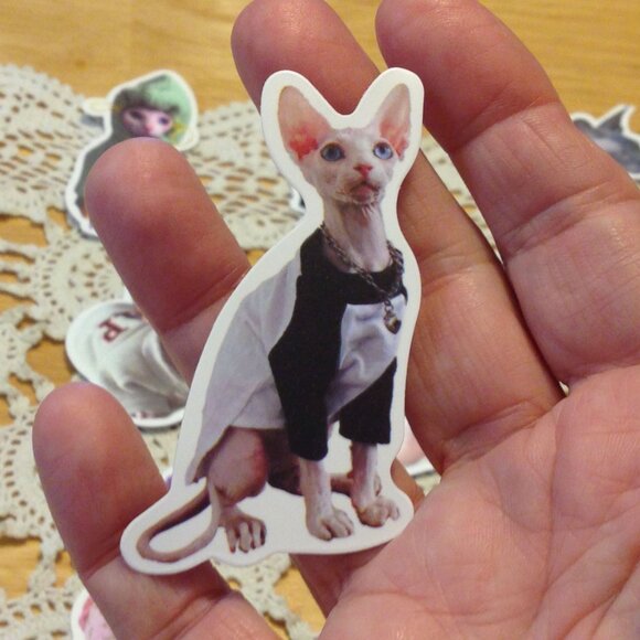 Sphynx Cats Stickers, funny, quirky, silly, for cellphone, crafts, hydroflask - Picture 5 of 6
